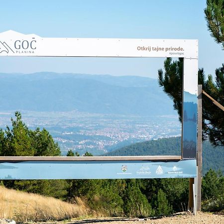 Apartman Draskovic - Goc Exteriér fotografie