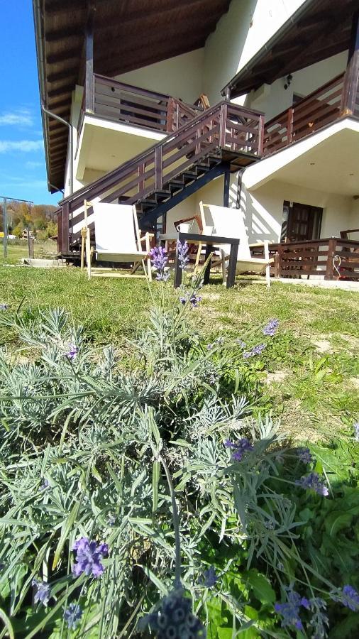 Apartman Draskovic - Goc Exteriér fotografie
