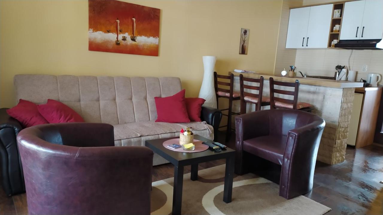 Apartman Draskovic - Goc Exteriér fotografie