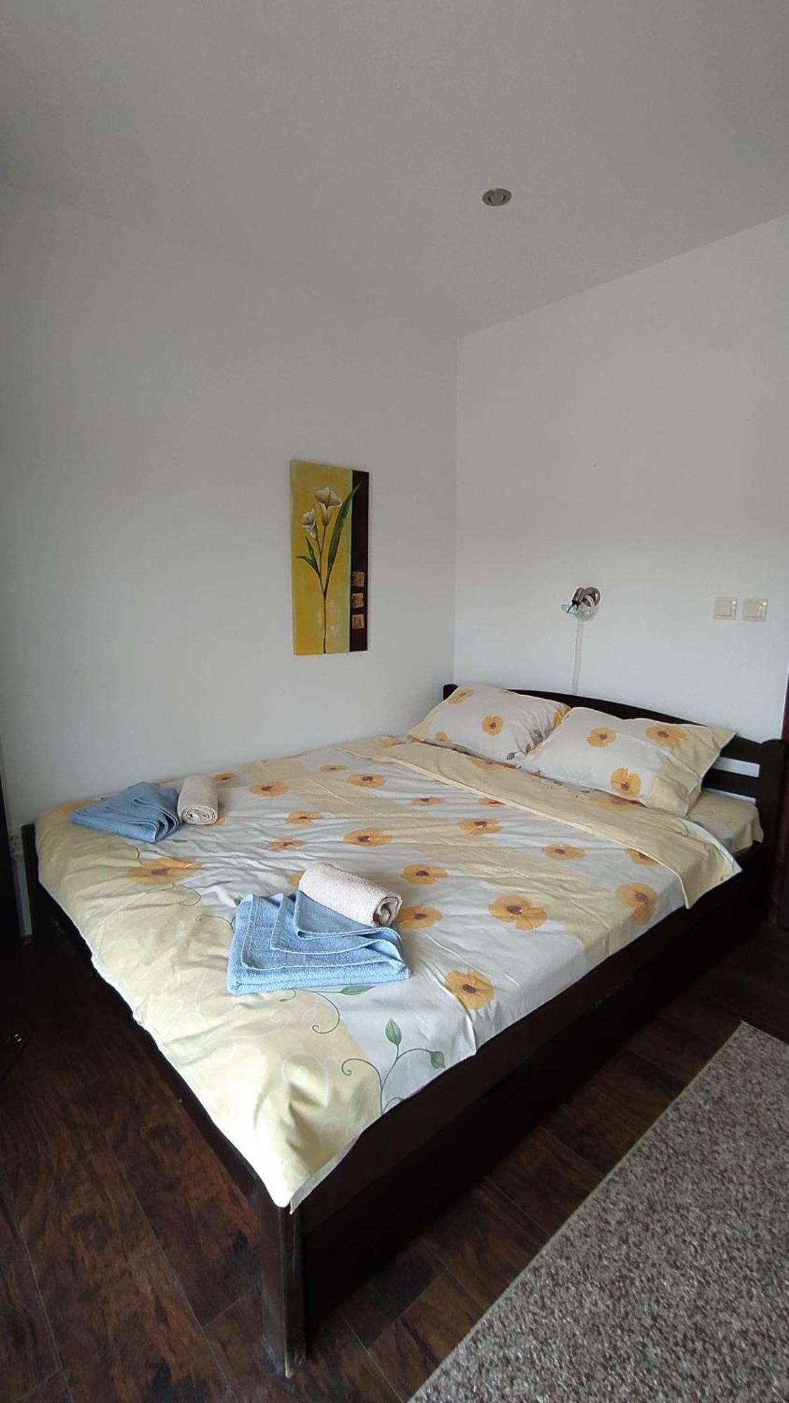 Apartman Draskovic - Goc Exteriér fotografie